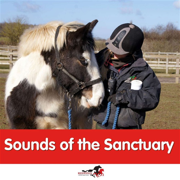 Artwork for Sounds of the Sanctuary
