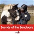 Sounds of the Sanctuary