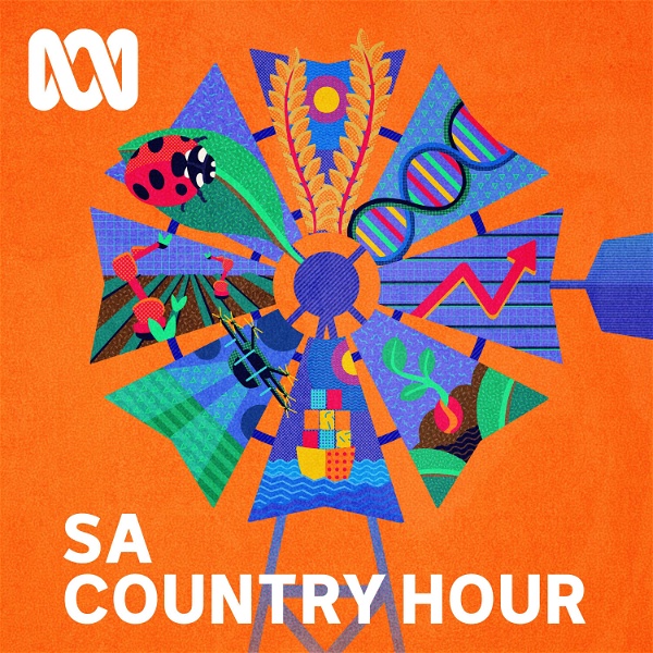Artwork for South Australian Country Hour