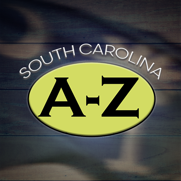 Artwork for South Carolina from A to Z