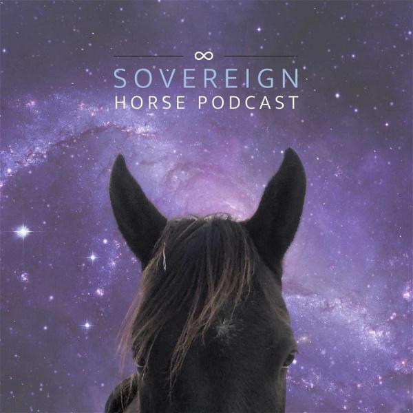 Artwork for Sovereign Horse