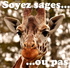 Soyez sages ou pas