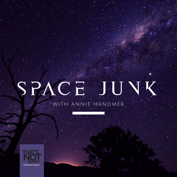 Artwork for Space Junk