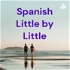 Spanish Little by Little