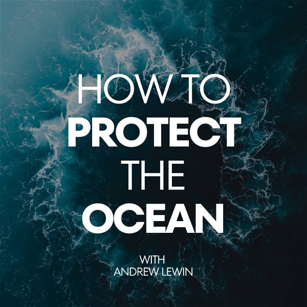 Artwork for How To Protect The Ocean