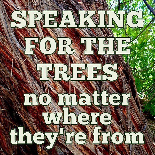 Artwork for Speaking for the Trees, No Matter Where They're From