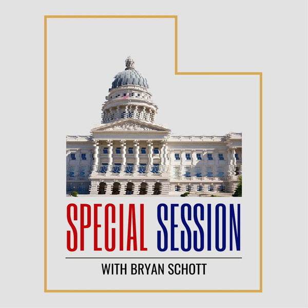 Artwork for Special Session
