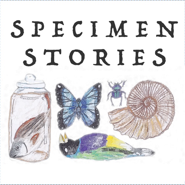 Artwork for Specimen Stories