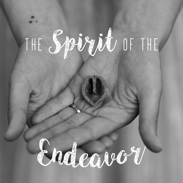 Artwork for Spirit of the Endeavor