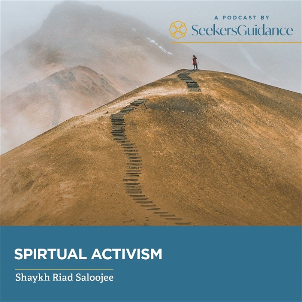 Artwork for Spiritual Activism