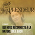 Splendeur