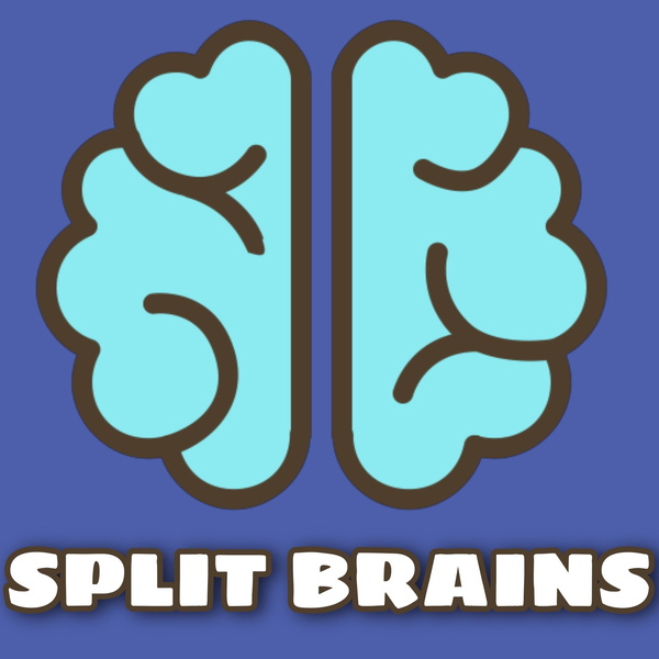 Artwork for Split Brains