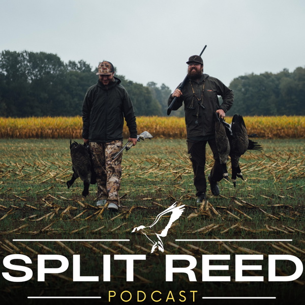 Artwork for Split Reed Podcast