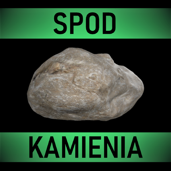 Artwork for Spod Kamienia