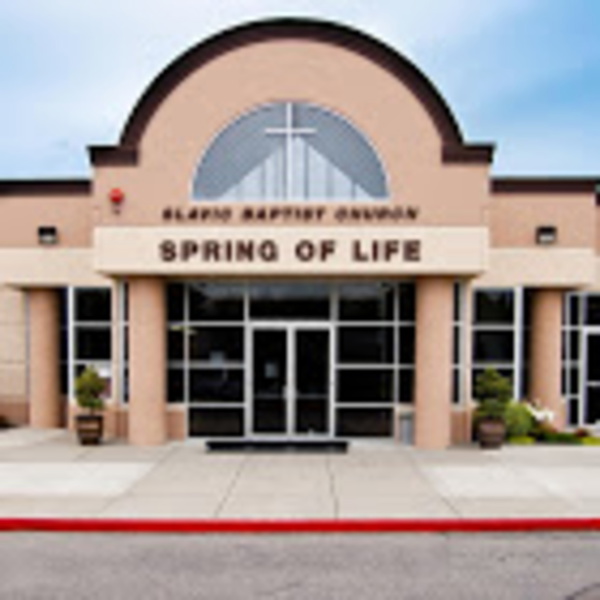 Artwork for Spring of Life Chruch
