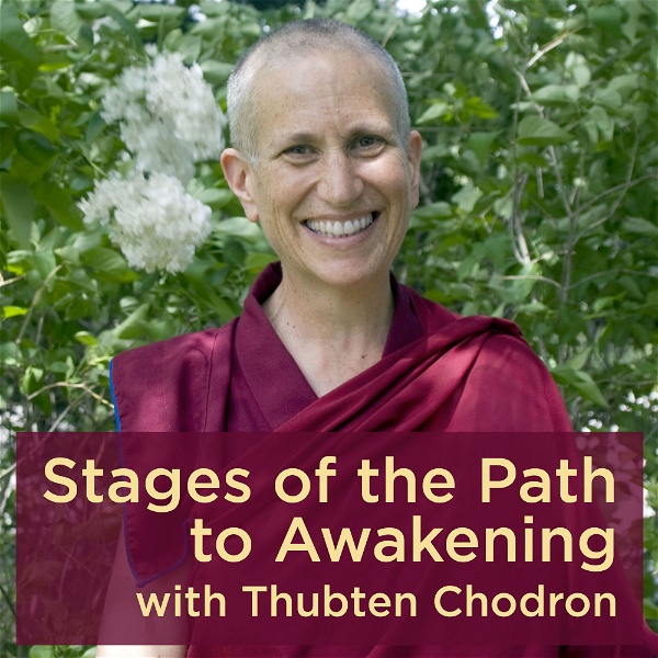 Artwork for Stages of the Path to Awakening Podcast Archives