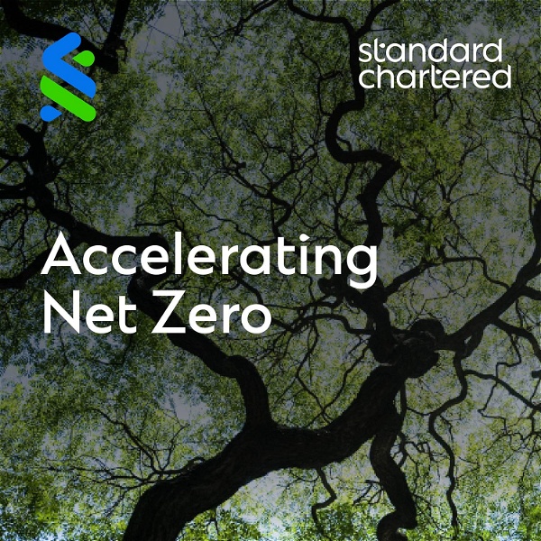 Artwork for Accelerating Net Zero