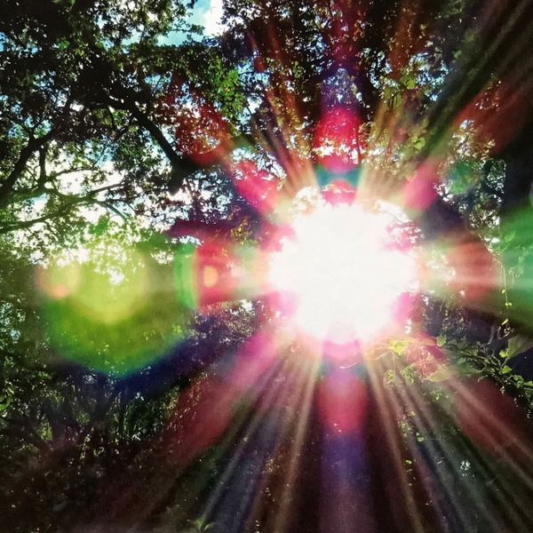 Artwork for Standing in the Light