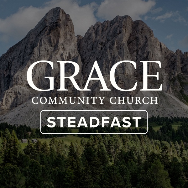 Artwork for Steadfast Sermon Podcast