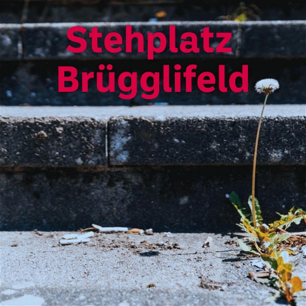 Artwork for Stehplatz Brügglifeld