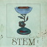 STEM
