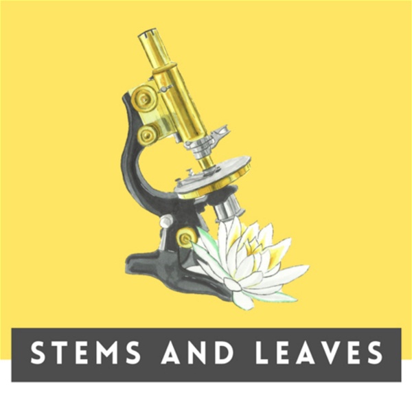 Artwork for STEMS AND LEAVES