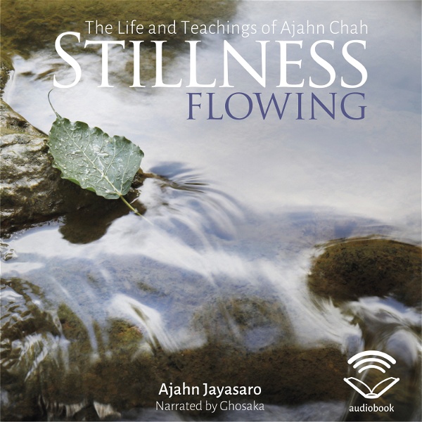 Artwork for Stillness Flowing