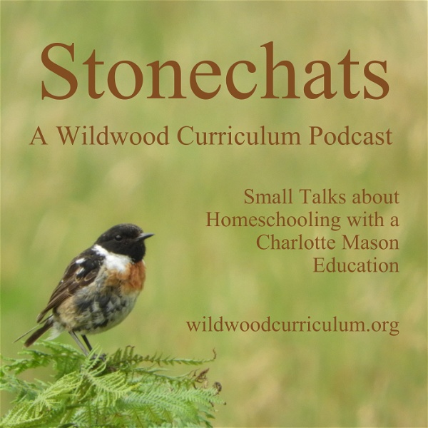 Artwork for Stonechats from Wildwood Curriculum