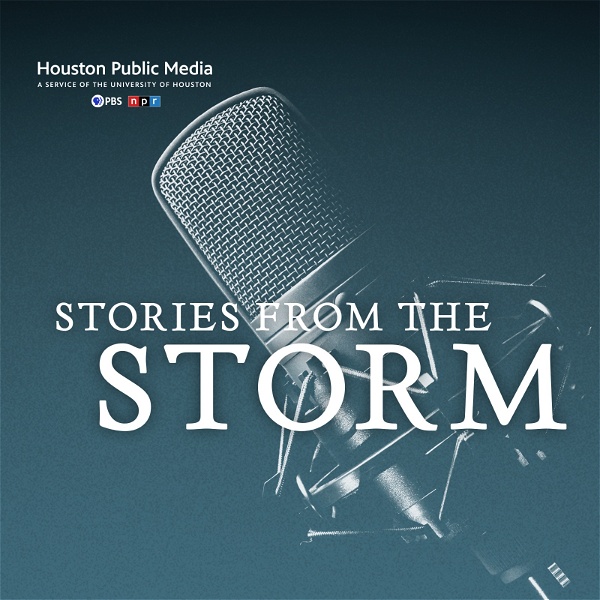 Artwork for Stories from the Storm