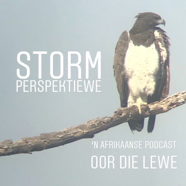 Artwork for Storm Perspektiewe