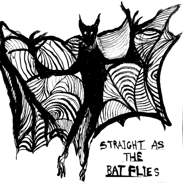 Artwork for Straight As The Bat Flies