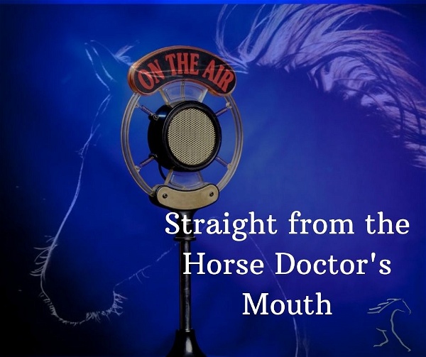 Artwork for Straight from the Horse Doctor's Mouth