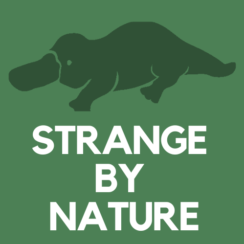 Artwork for Strange by Nature Podcast