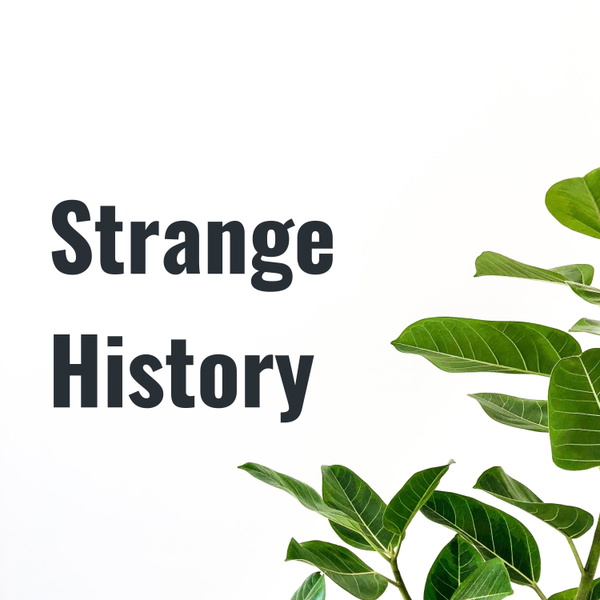 Artwork for Strange History