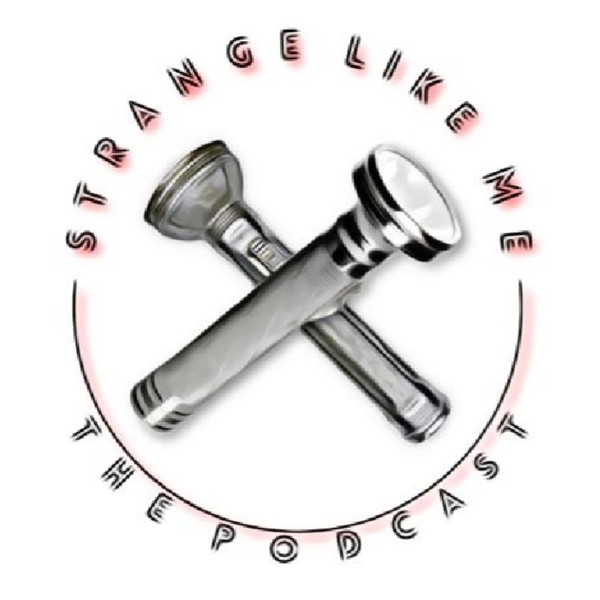 Artwork for Strange Like Me