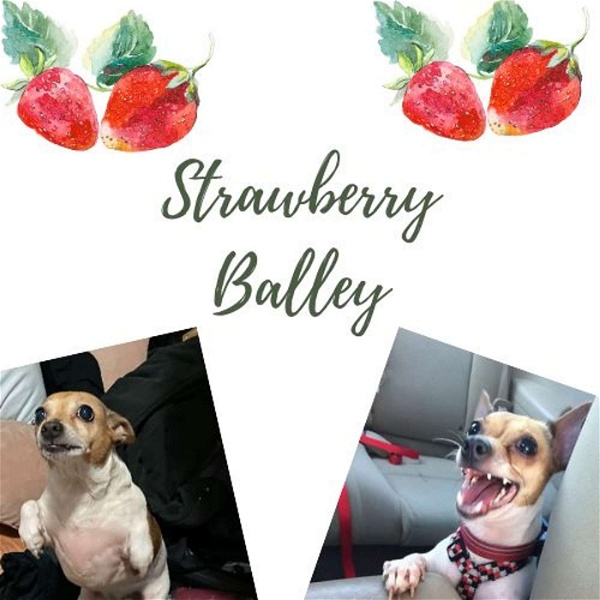 Artwork for Strawberry Balley