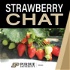 Strawberry Chat