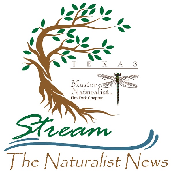 Artwork for Stream: Naturalist News