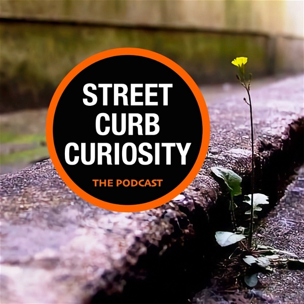 Artwork for Street Curb Curiosity