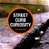 Street Curb Curiosity