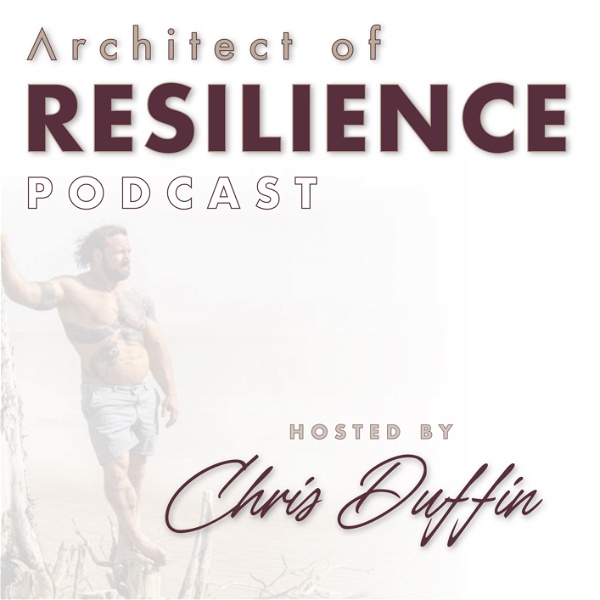 Artwork for Architect of Resilience
