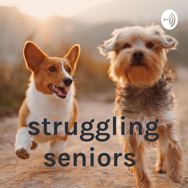 Artwork for struggling seniors