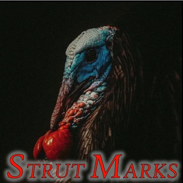 Artwork for Strut Marks