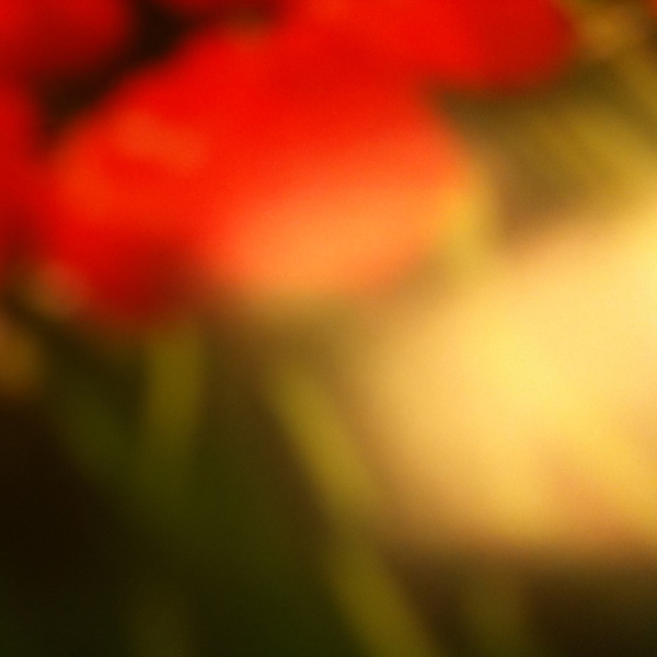 Artwork for studilaroche
