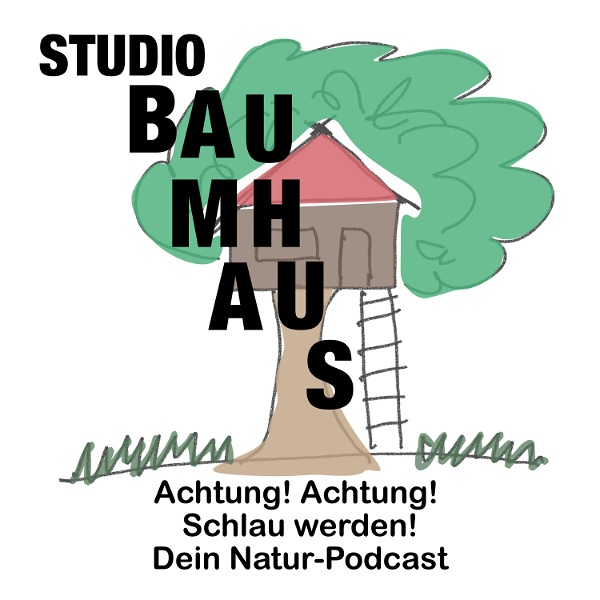 Artwork for Studio Baumhaus