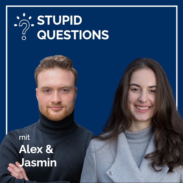 Artwork for Stupid Questions