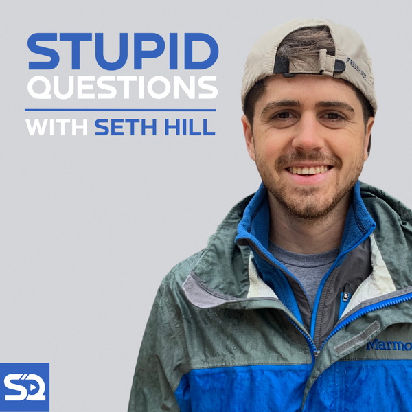 Artwork for Stupid Questions