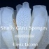 Sturdy Glass Sponges