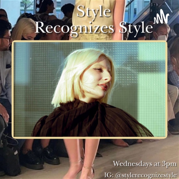 Artwork for Style Recognizes Style