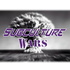 Subculture Wars